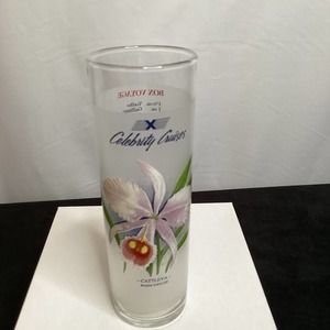 Vintage Celebrity Cruise High ball glass